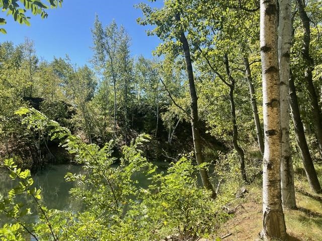 Lot 4 Skyview Road Mosinee, WI 54455 - Photo 15 of 17
