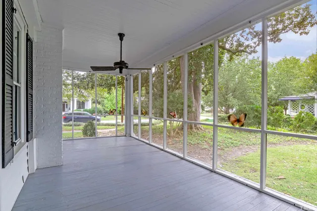 a view of a backyard with plants and a large tree