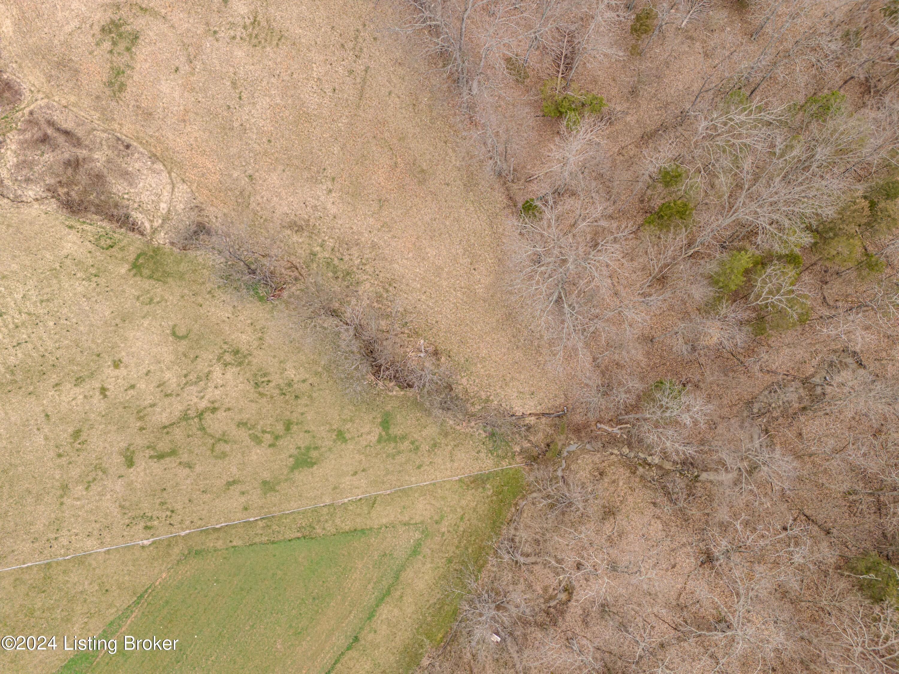 1570 Mink Run Road Frankfort, KY 40601 - Photo 8 of 79 DJI_20230829101816_0026_D