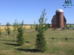 7087 East Kinde Road Port Hope, MI 48468 - Photo 2 of 9 398593-1.JPG