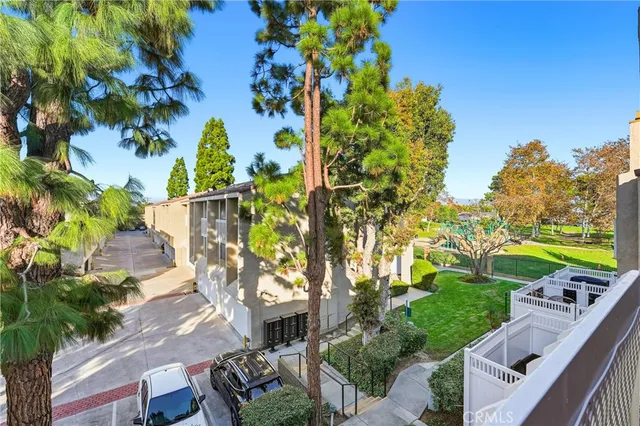 a view of a yard with plants and large trees
