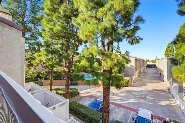 a view of a yard with plants