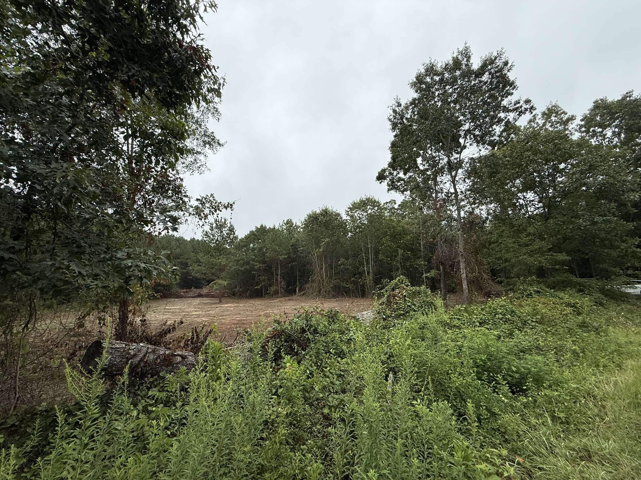 229 Holly Road Chesnee, SC 29323 - Photo 3 of 8