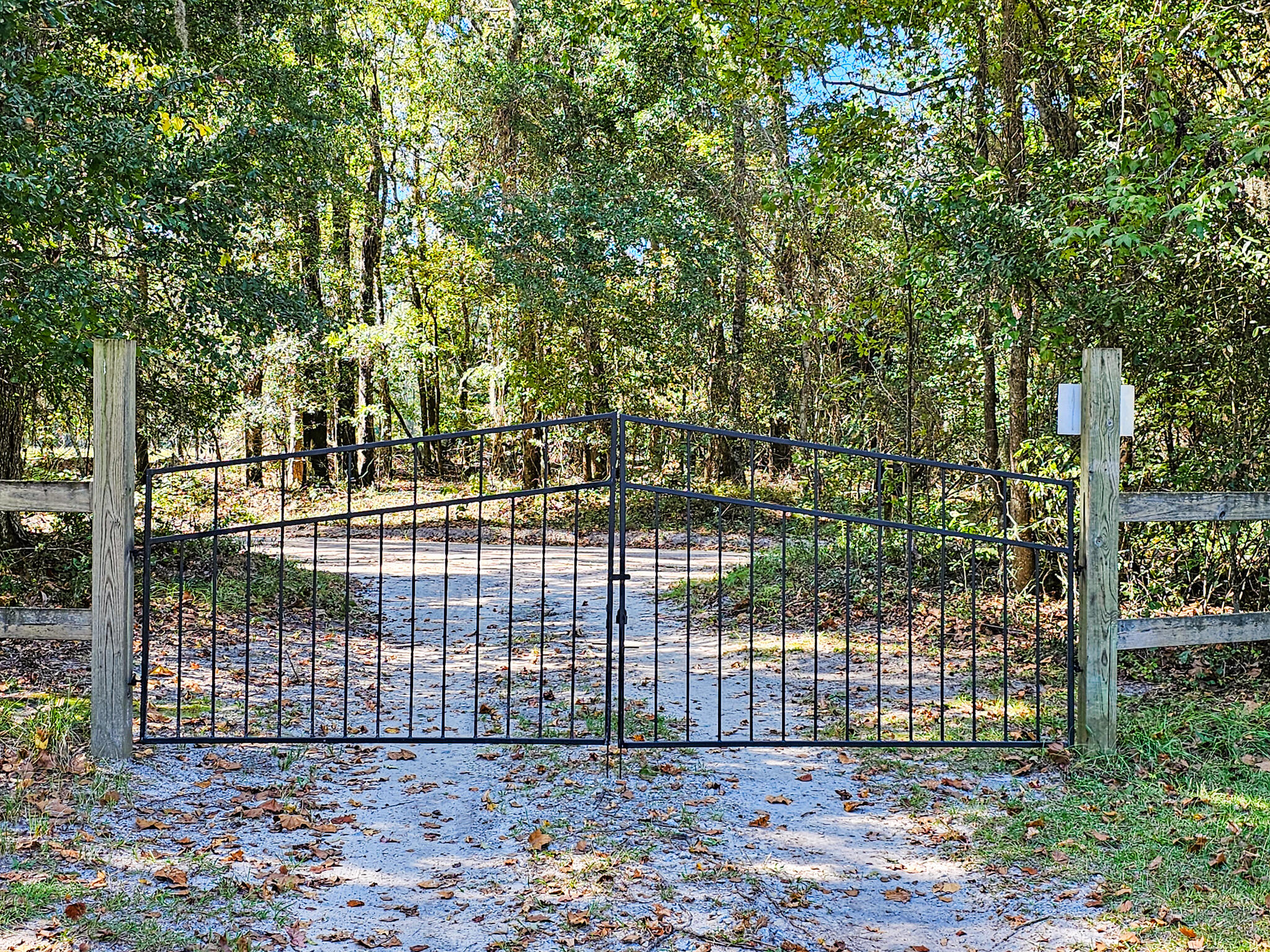 2869 Turkey Cut Road Branchville, SC 29432 - Photo 2 of 52 20251020_115232