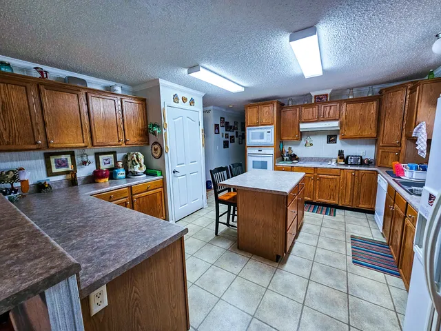 $550,000 | 2869 Turkey Cut Road, Branchville, SC 29432