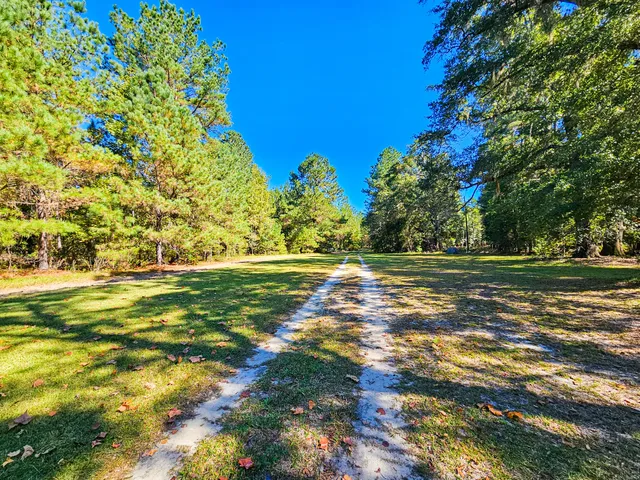 $550,000 | 2869 Turkey Cut Road, Branchville, SC 29432