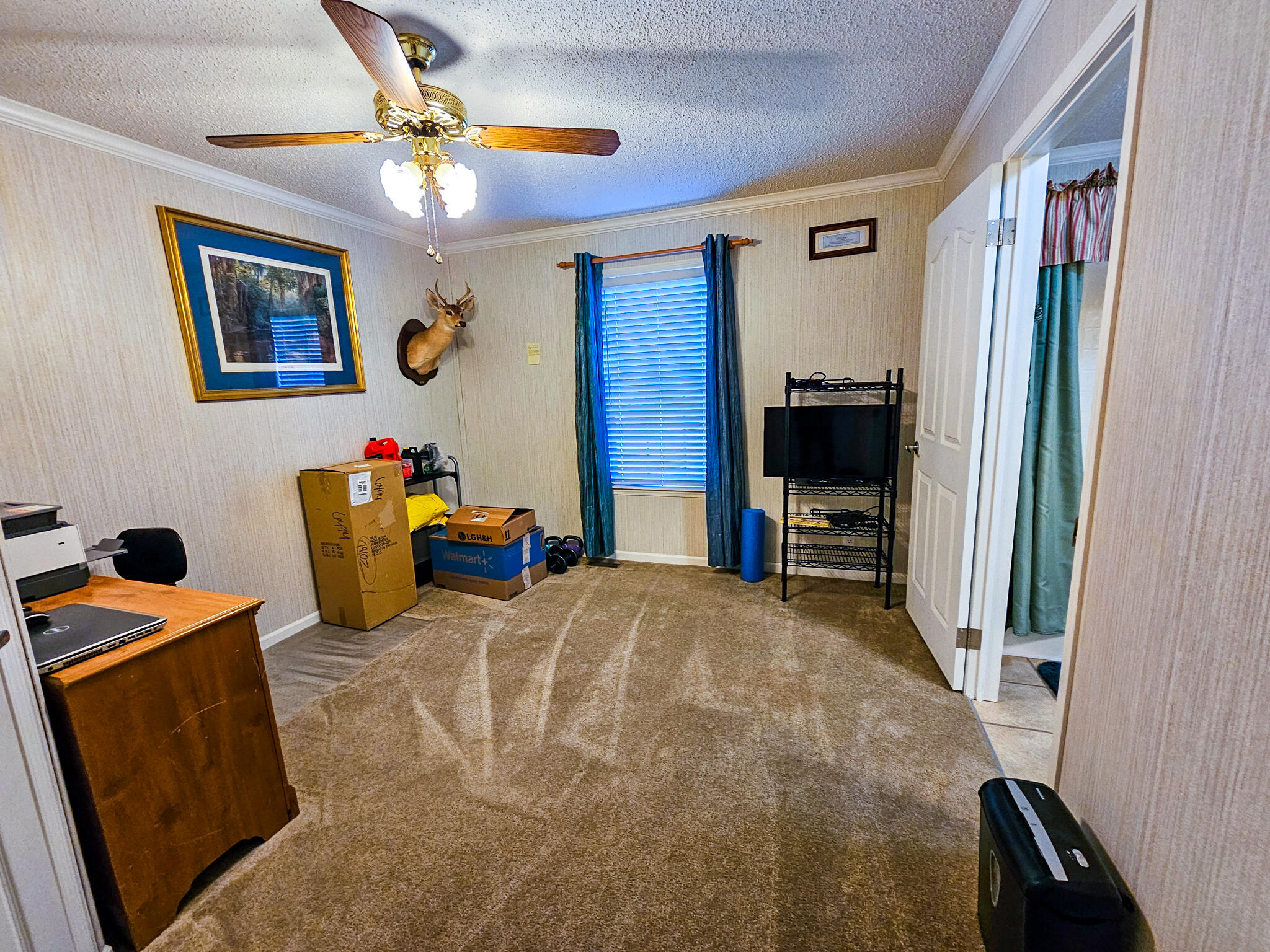 2869 Turkey Cut Road Branchville, SC 29432 - Photo 37 of 52 20251020_113429