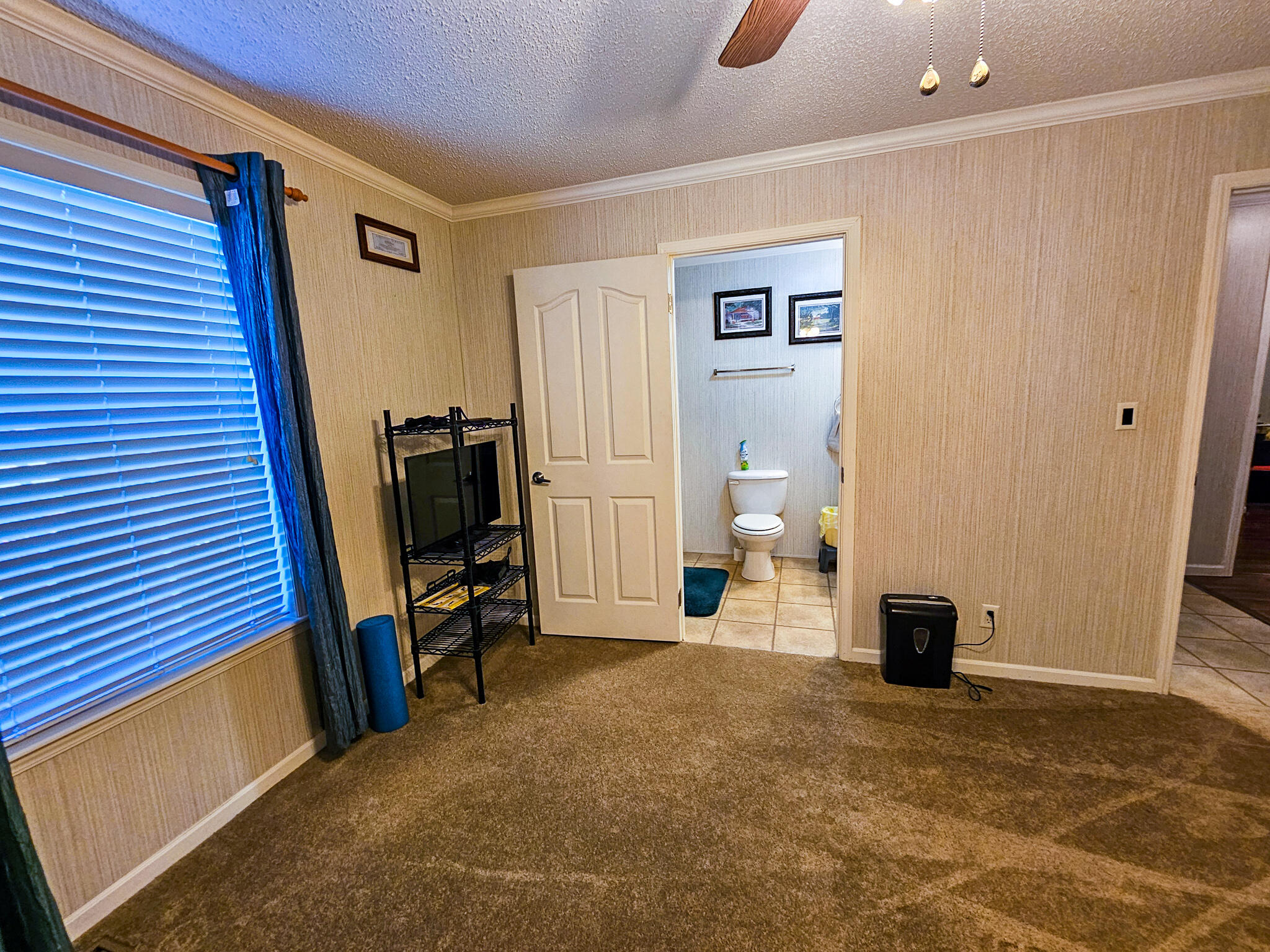 2869 Turkey Cut Road Branchville, SC 29432 - Photo 38 of 52 20251020_113449