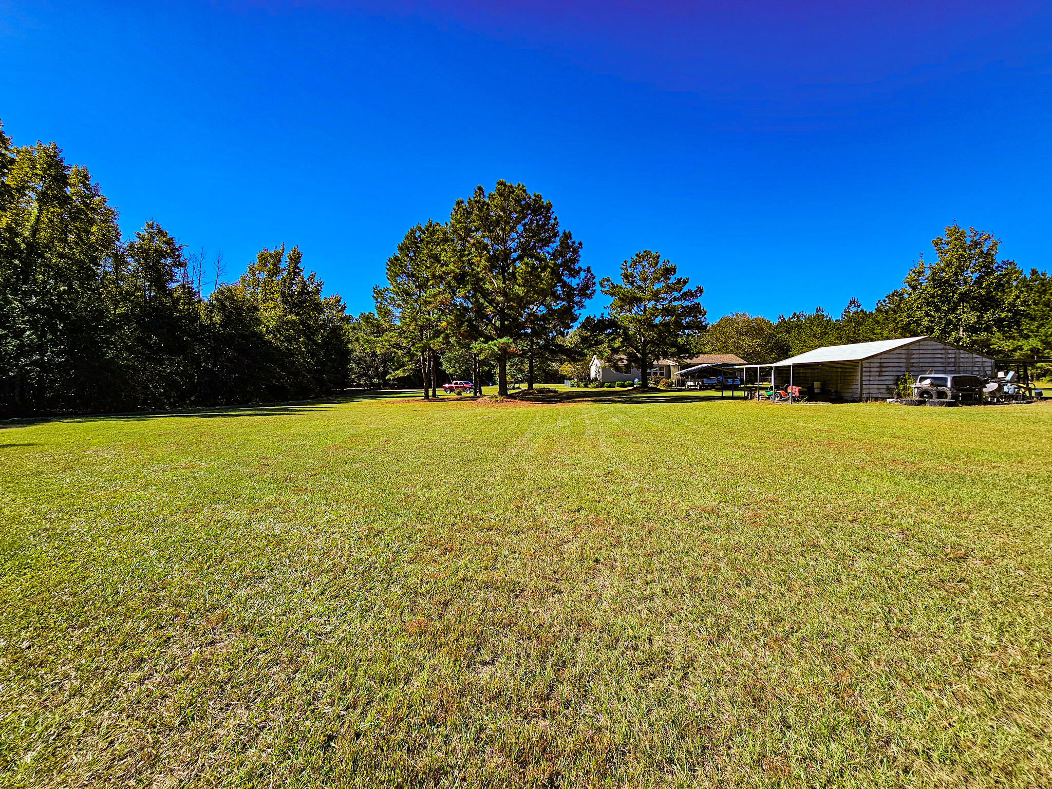 2869 Turkey Cut Road Branchville, SC 29432 - Photo 44 of 52 20251020_114253