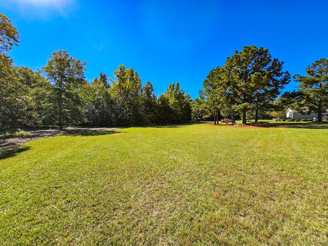 $550,000 | 2869 Turkey Cut Road, Branchville, SC 29432
