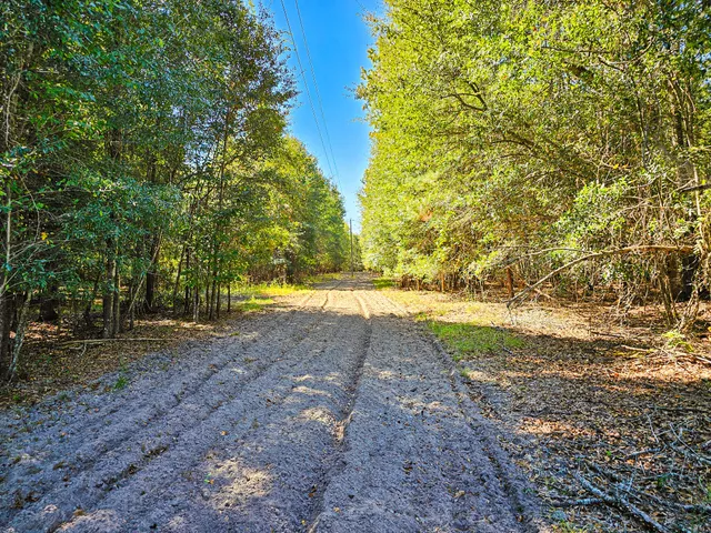 $550,000 | 2869 Turkey Cut Road, Branchville, SC 29432