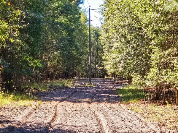 $540,000 | 2869 Turkey Cut Road, Branchville, SC 29432