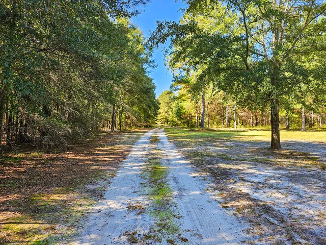 $550,000 | 2869 Turkey Cut Road, Branchville, SC 29432