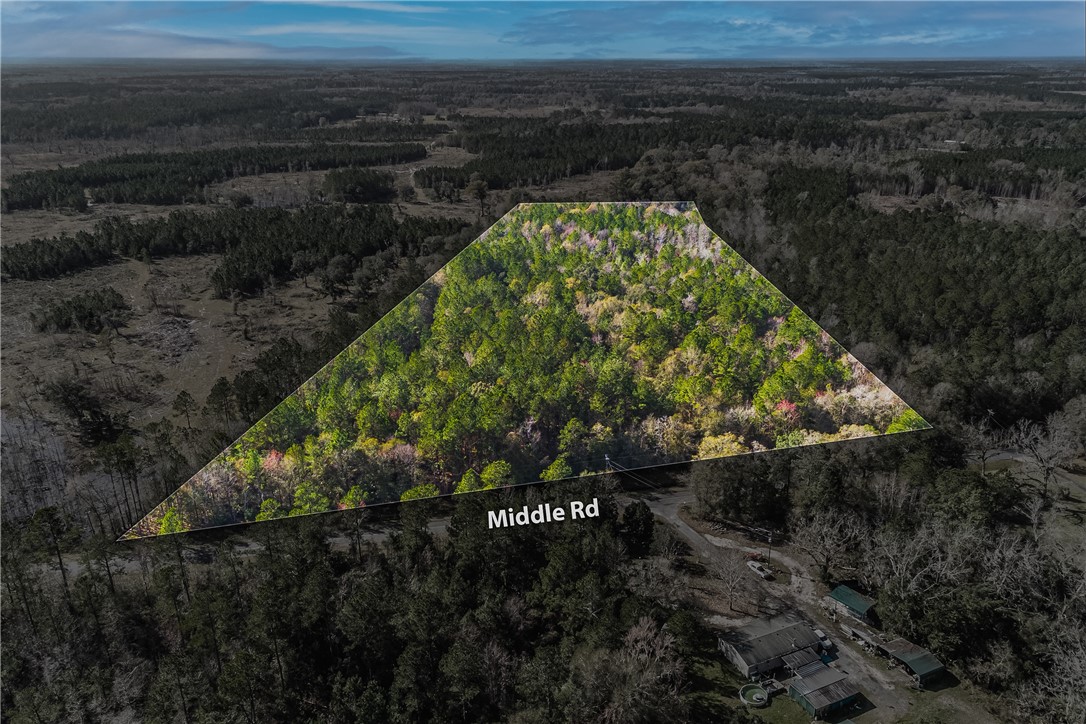 Middle Road Hilliard, FL 32046 - Photo 3 of 6 a view of a garden