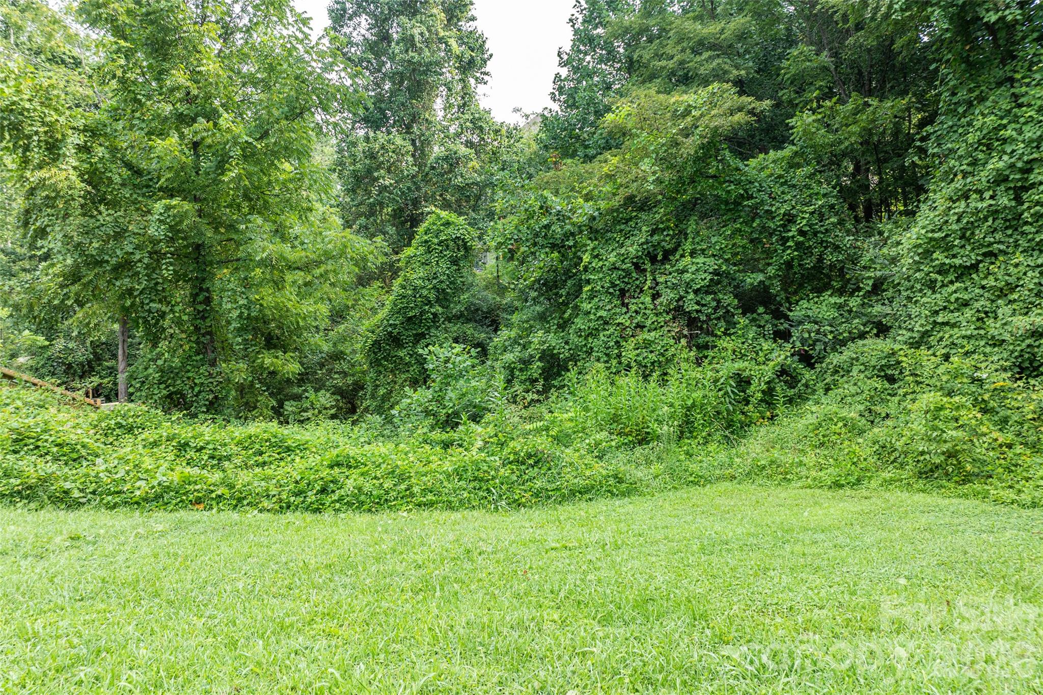 751 Brevard Road Asheville, NC 28806 - Photo 10 of 22 Gallery Image 10
