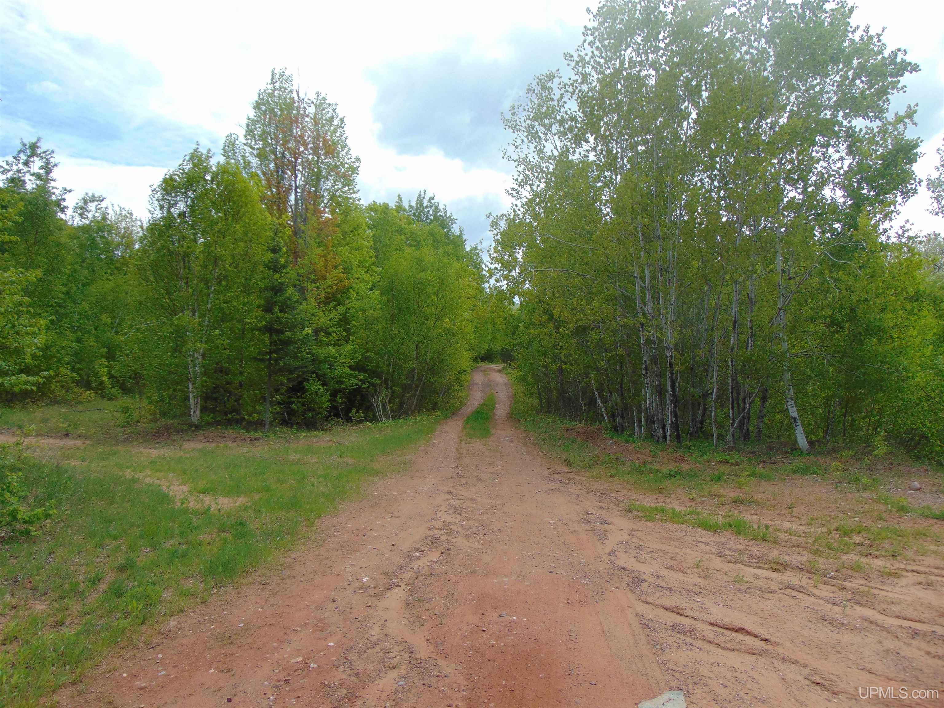 Tbd 1 Off M28 Road Trout Creek, MI 49967 - Photo 12 of 24