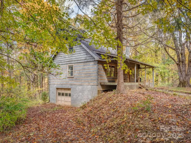 view of a tree in a yard