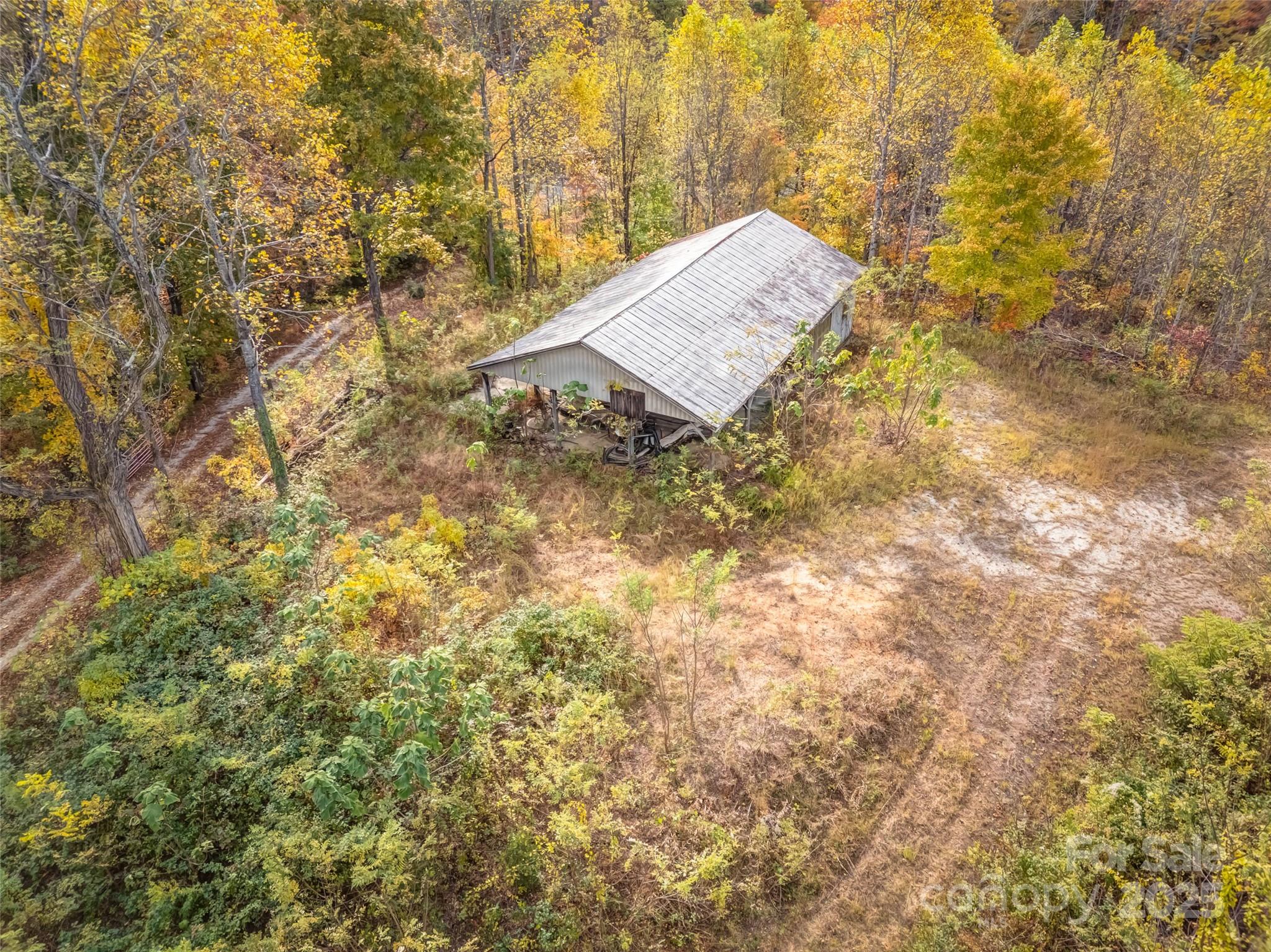 6130 Howard Gap Road Saluda, NC 28773 - Photo 23 of 27 view of a tree in a yard