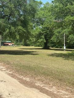 1029 Horseshoe Road Augusta, GA 30906 - Photo 8 of 15 IMG_8645