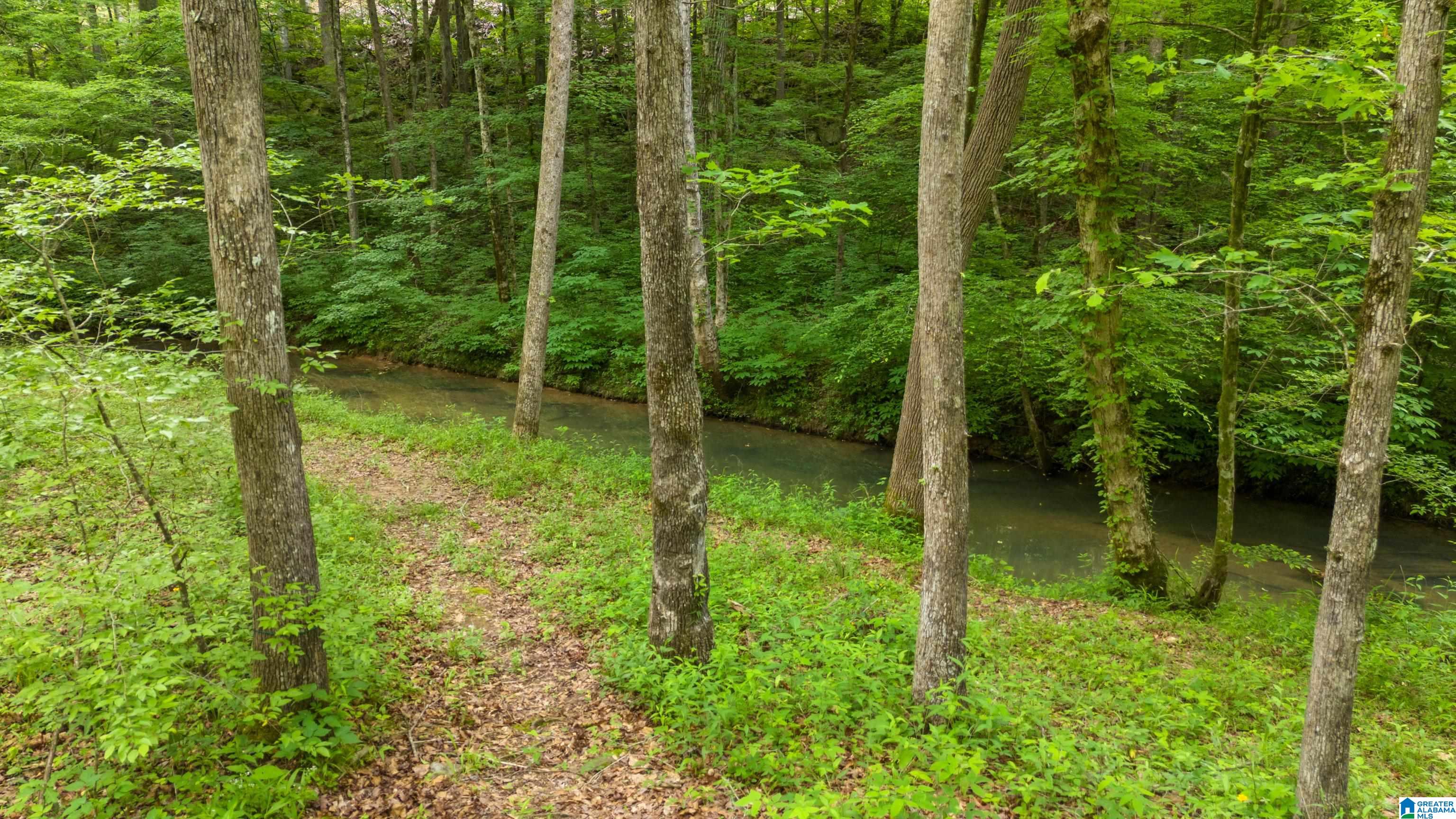 732 Mill Creek Road Warrior, AL 35180 - Photo 57 of 65