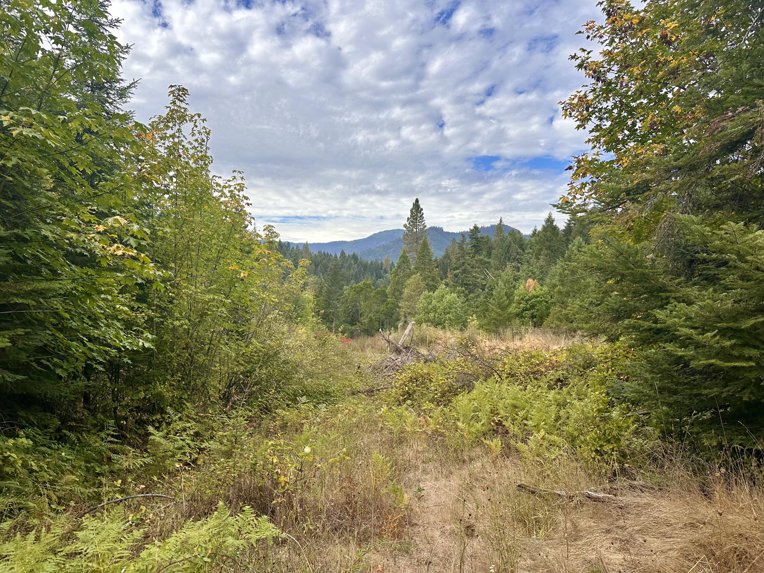 780 Tunnel Road Glendale, OR 97442 - Photo 15 of 25 A24BD2F9-1C8A-4FFA-80D4-C6064D783DC6_1_2