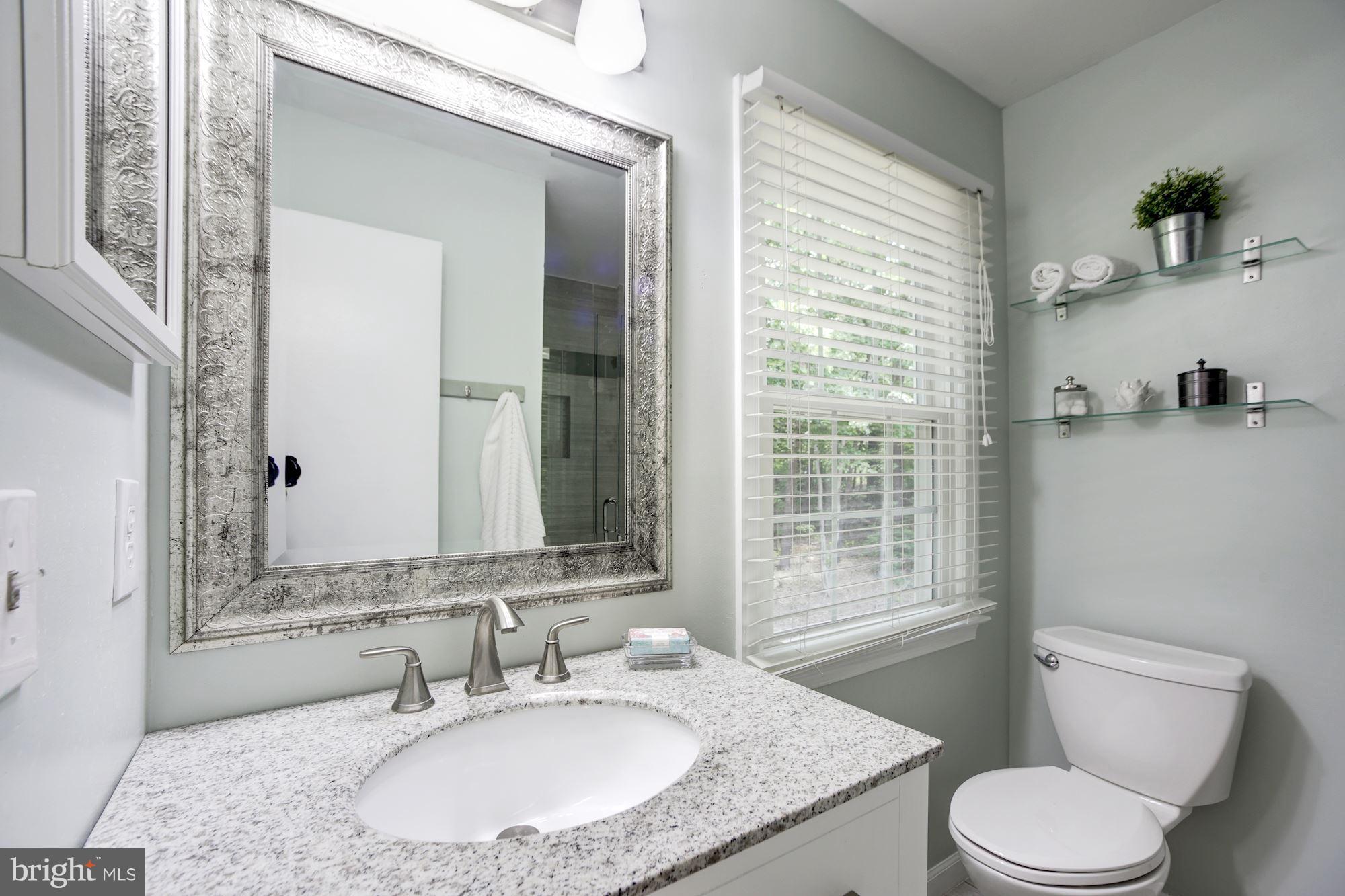 7401 Spring Tree Drive Springfield, VA 22153 - Photo 13 of 28 Upgraded Master Bath