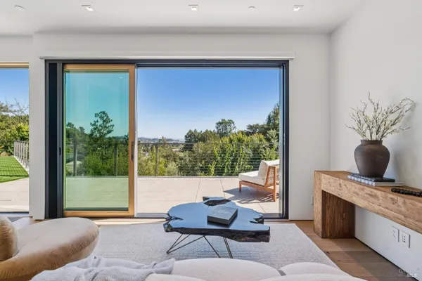 a living room with furniture and a potted plant