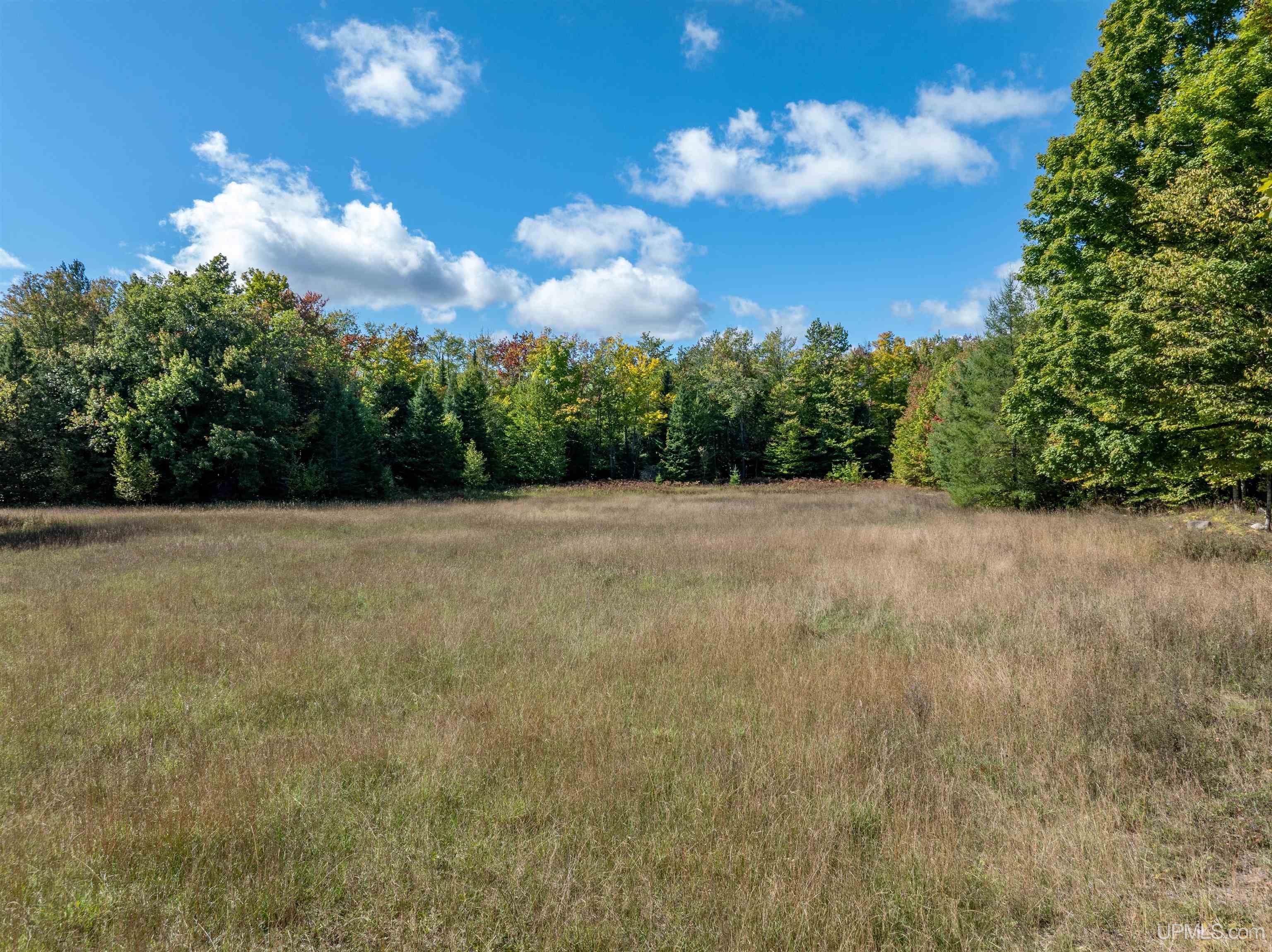 N6975 Olson Road Shingleton, MI 49884 - Photo 19 of 22