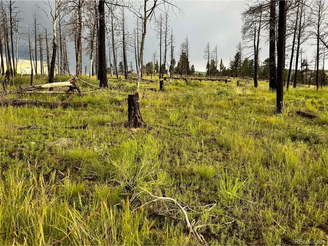 a view of a yard with swimming pool
