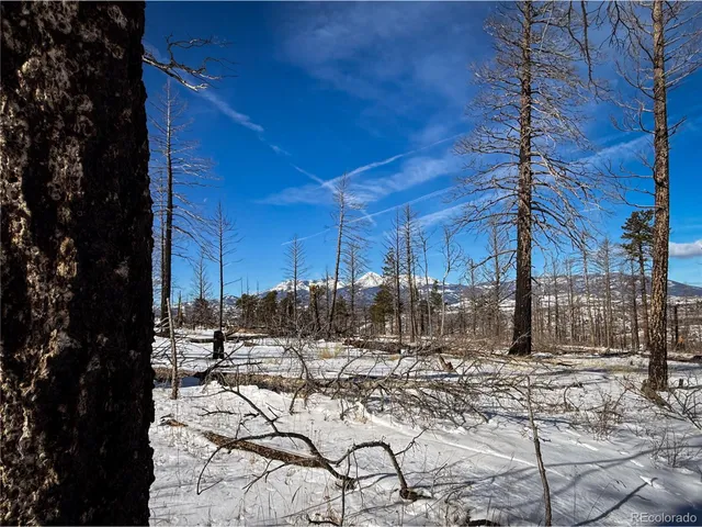 a view of fountain with a yard