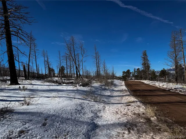 a view of a yard with wooden fence