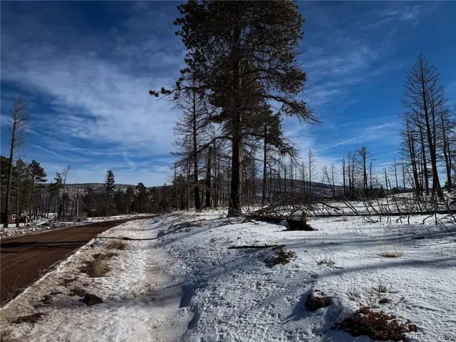 $8,500 | 591 Leslie Loop, Fort Garland, CO 81133