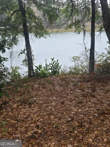 a view of a lake with mountain in the back