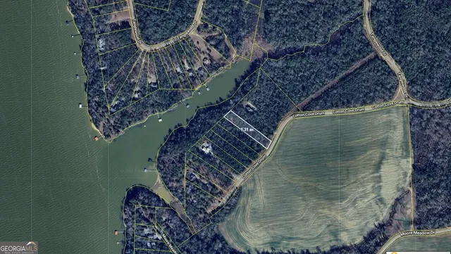 $110,000 | Lot 10 Cotton Cove, Georgetown, GA 39854