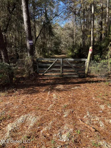 $27,000 | Nhn George Wise Road, Carriere, MS 39426