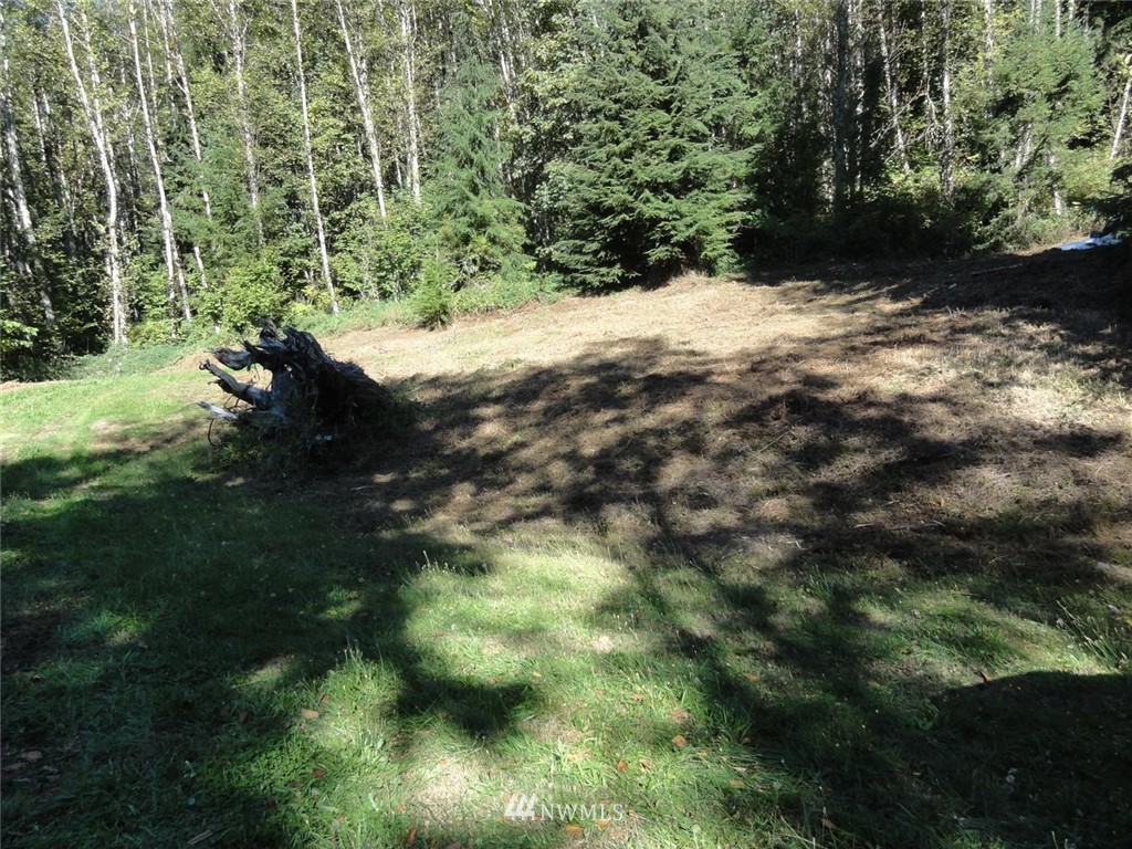 369 Short Road Morton, WA 98356 - Photo 5 of 12 Gallery Image 5