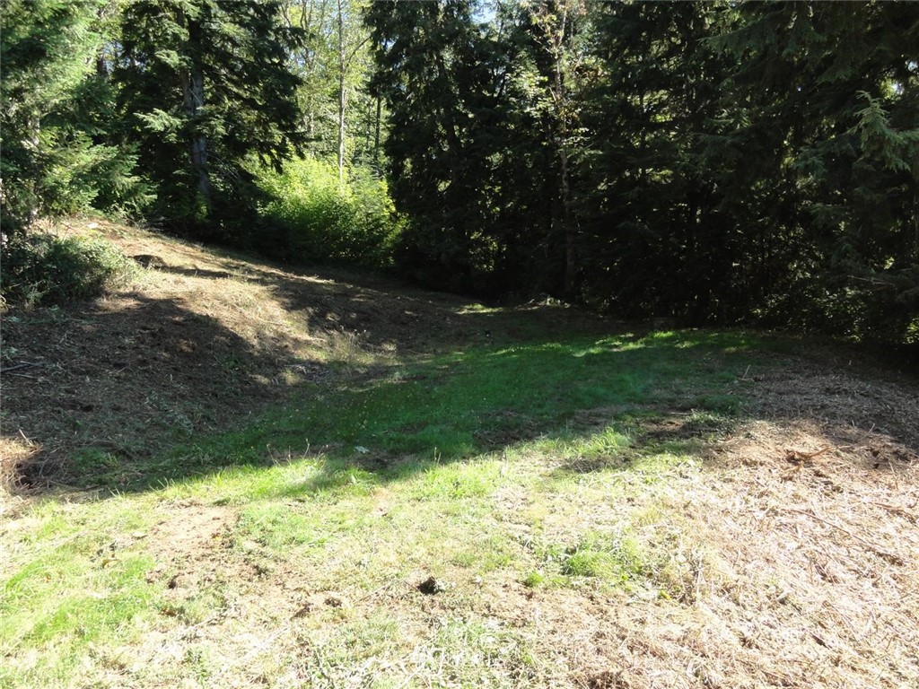 369 Short Road Morton, WA 98356 - Photo 8 of 12 Gallery Image 8