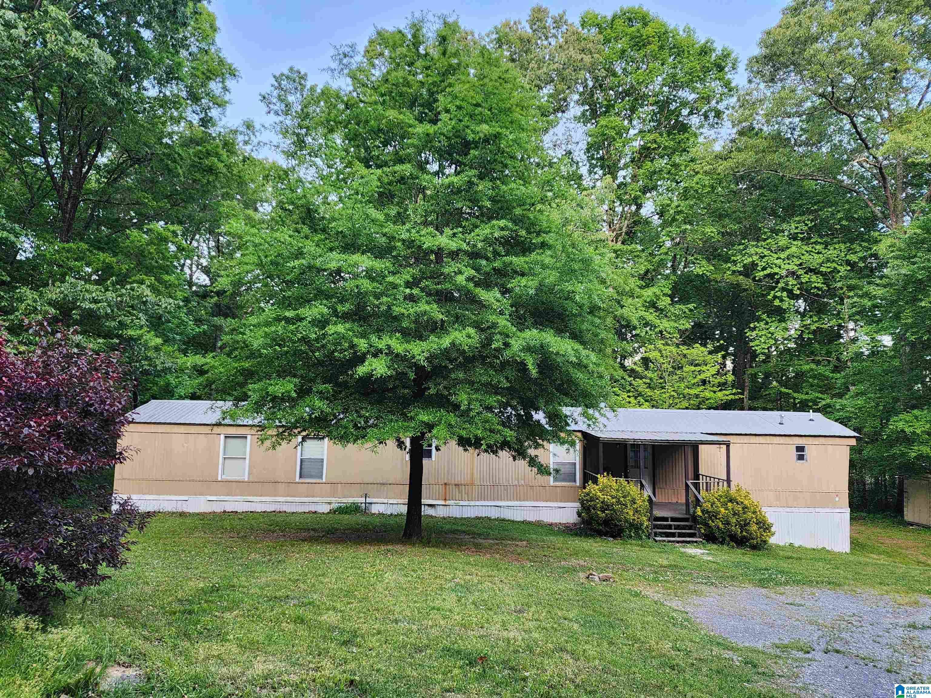 110 Walkers Gap Road Springville, AL 35146 - Photo 1 of 11