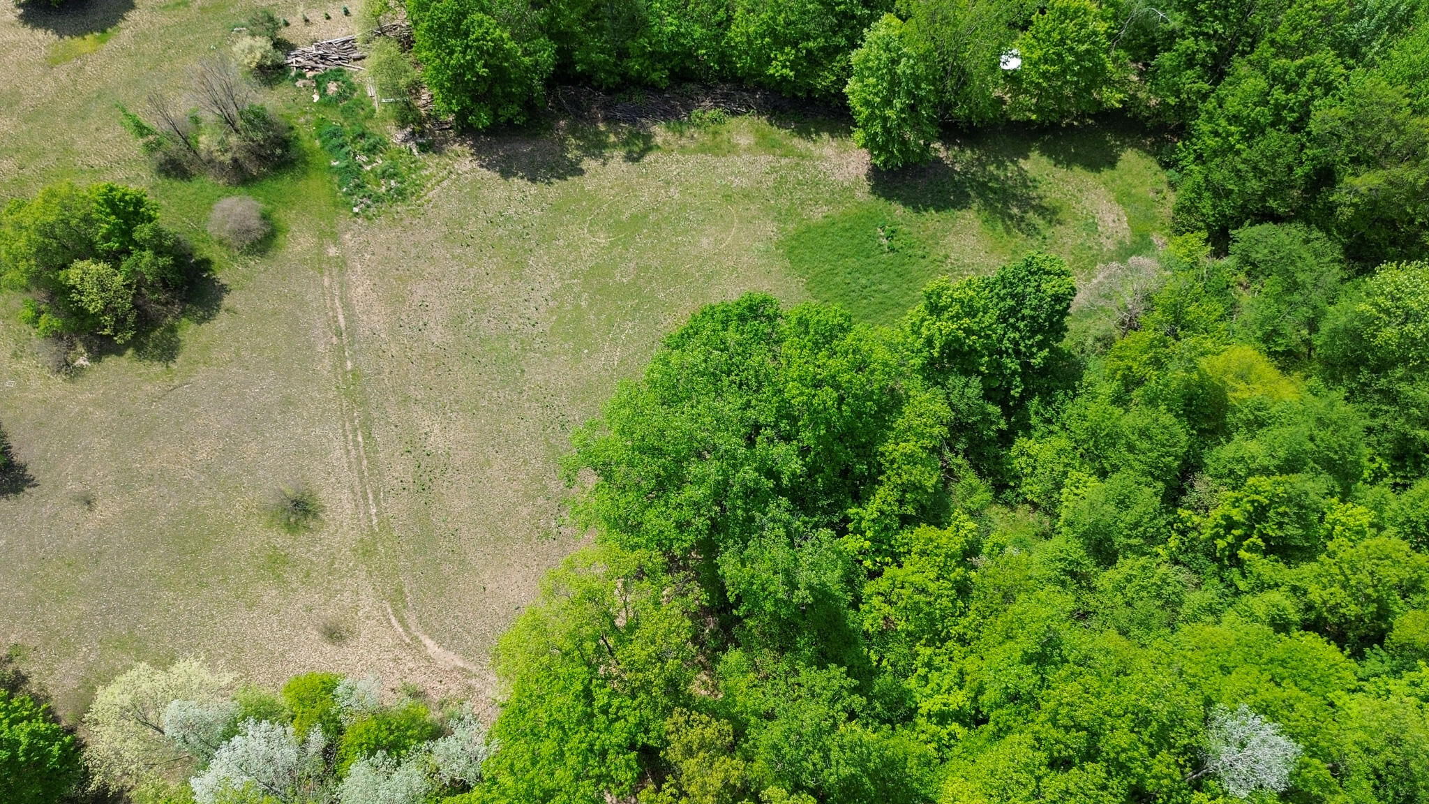 4196 West 4 Mile Road White Cloud, MI 49349 - Photo 56 of 65 DJI_0888
