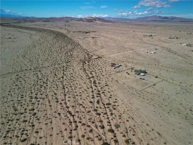 a view of a dry yard