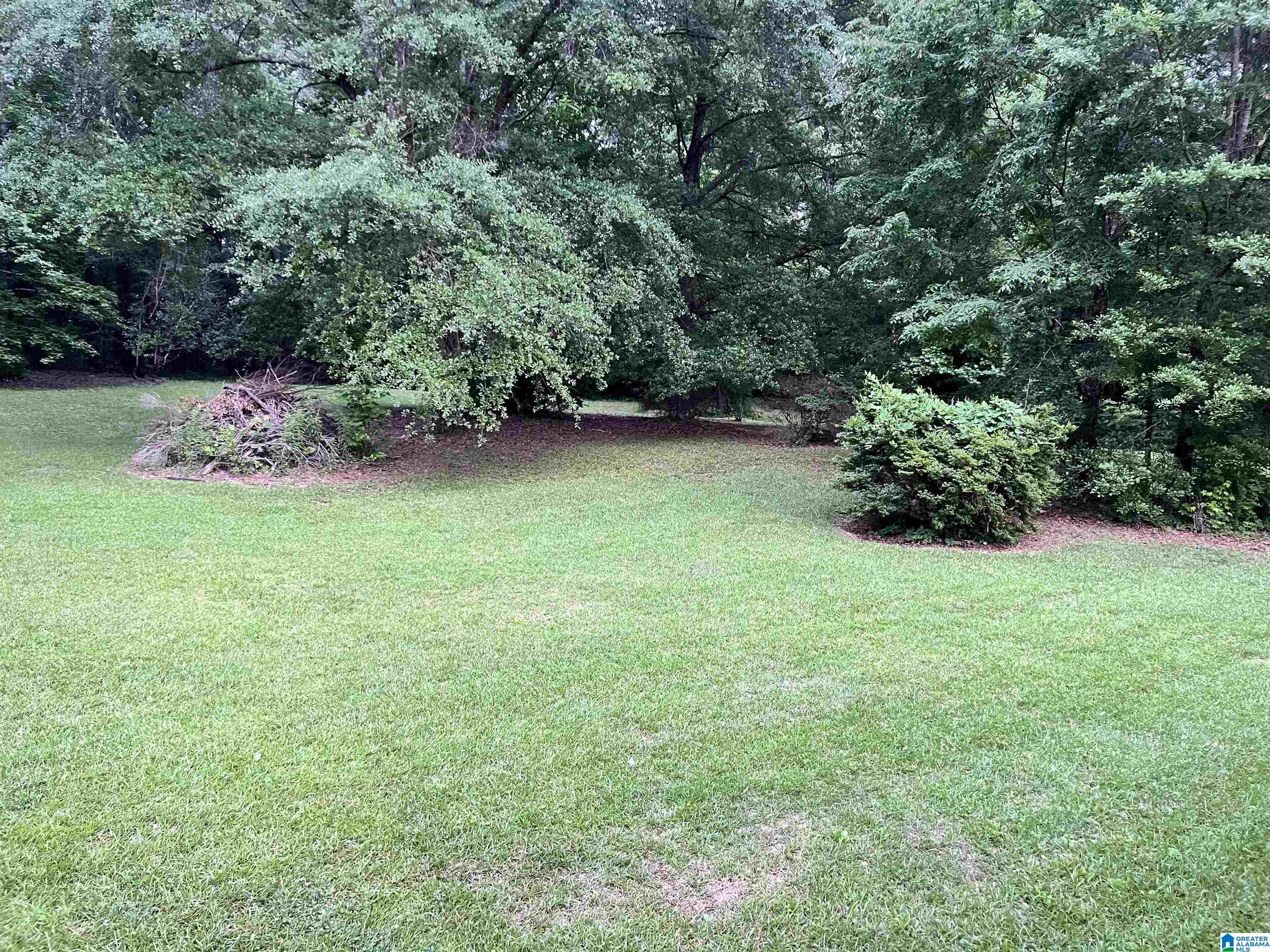 2547 Shady Grove Road Adamsville, AL 35005 - Photo 23 of 26