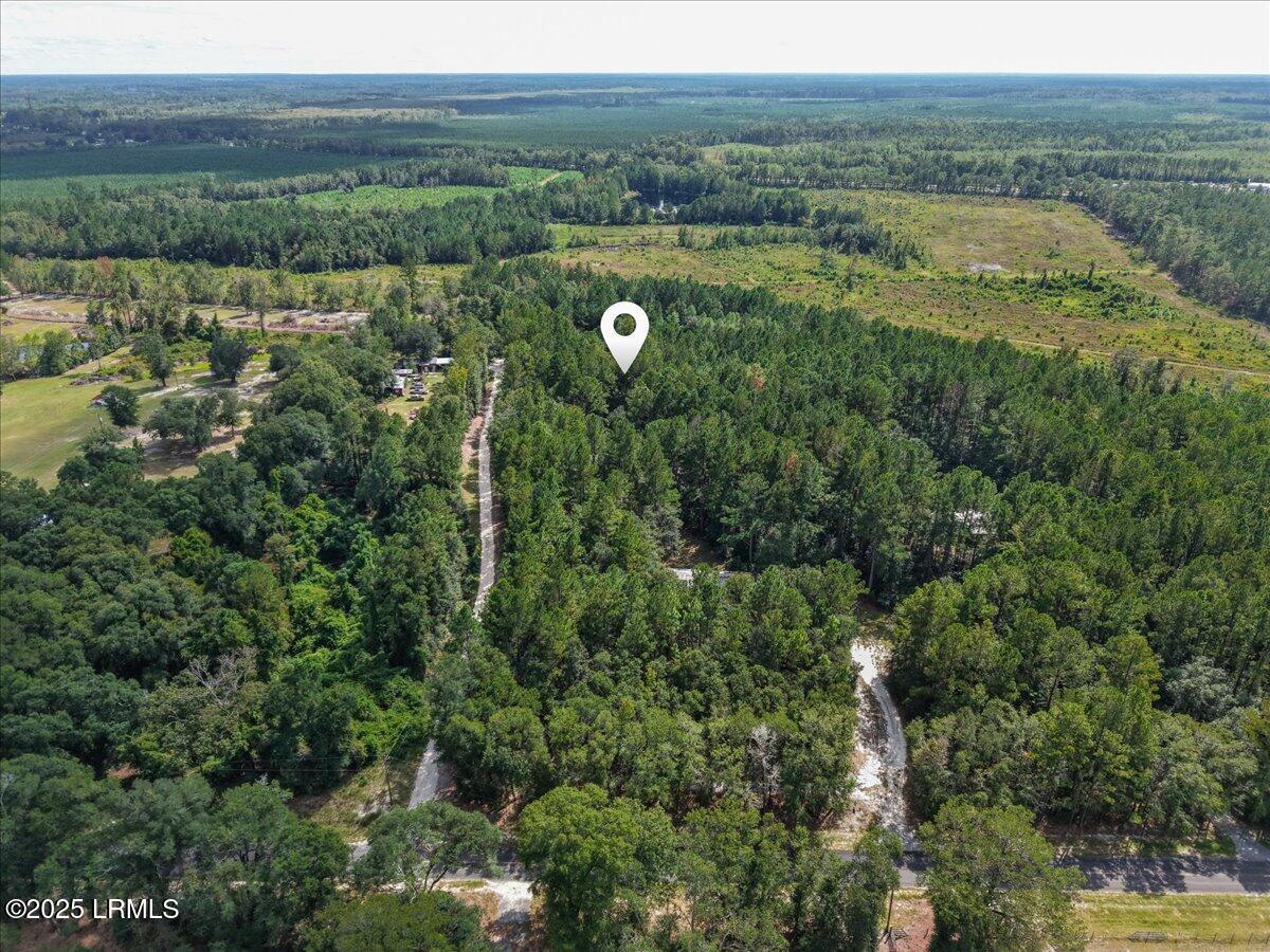 168 Walker Road Early Branch, SC 29916 - Photo 34 of 35 42-Aerial
