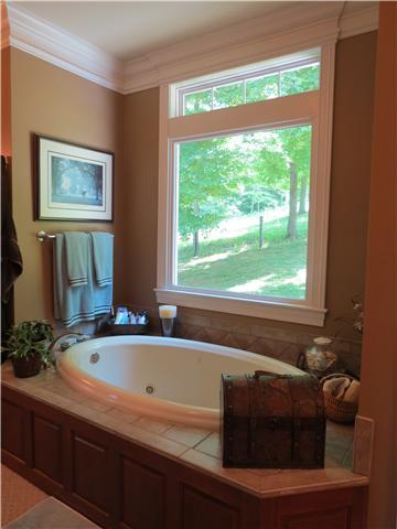 1721 Abednego Road Greenbrier, TN 37073 - Photo 12 of 20 GREAT WHIRLPOOL TUB WITH BIG BRIGHT WINDOW