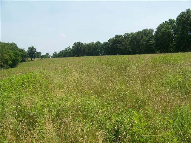 1721 Abednego Road Greenbrier, TN 37073 - Photo 17 of 20 BEAUTIFUL PASTURES!!!! PLENTY OF ROOM FOR HORSES OR CATTLE. THERE IS A GREAT SPOT IN LOWER PASTURE TO BUILD A HORSE BARN.