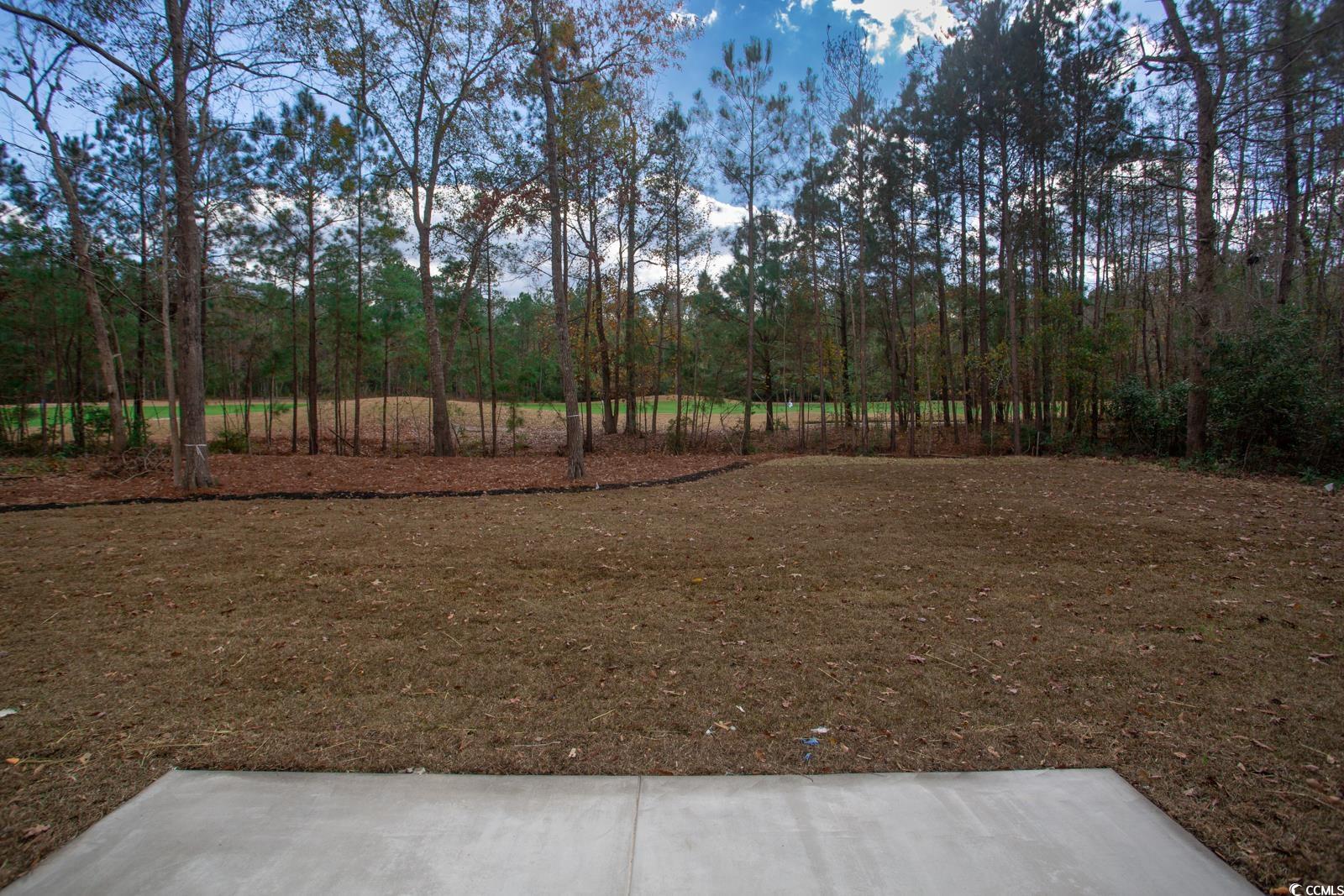654 Timber Creek Drive Loris, SC 29569 - Photo 31 of 36