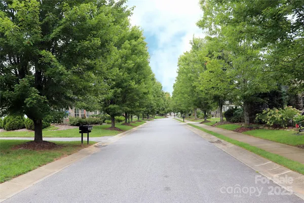 a view of a street with a yard and a tree