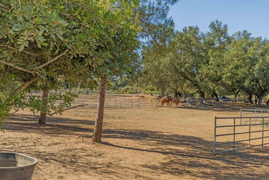 22544 Tombill Road Ramona, CA 92065 - Photo 44 of 74