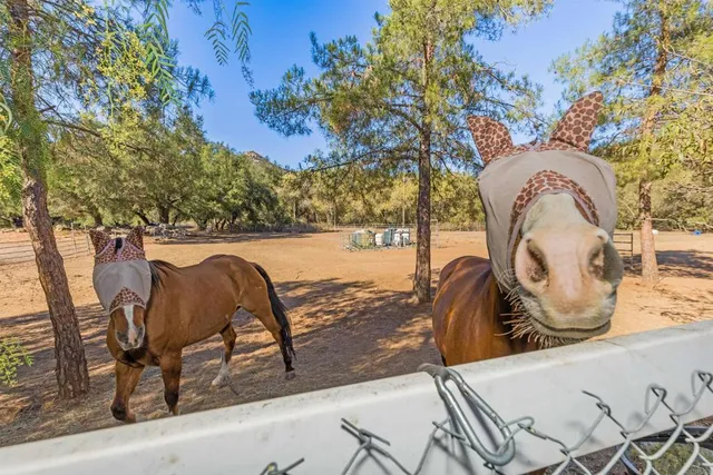 $1,300,000 | 22544 Tombill Road, Ramona, CA 92065