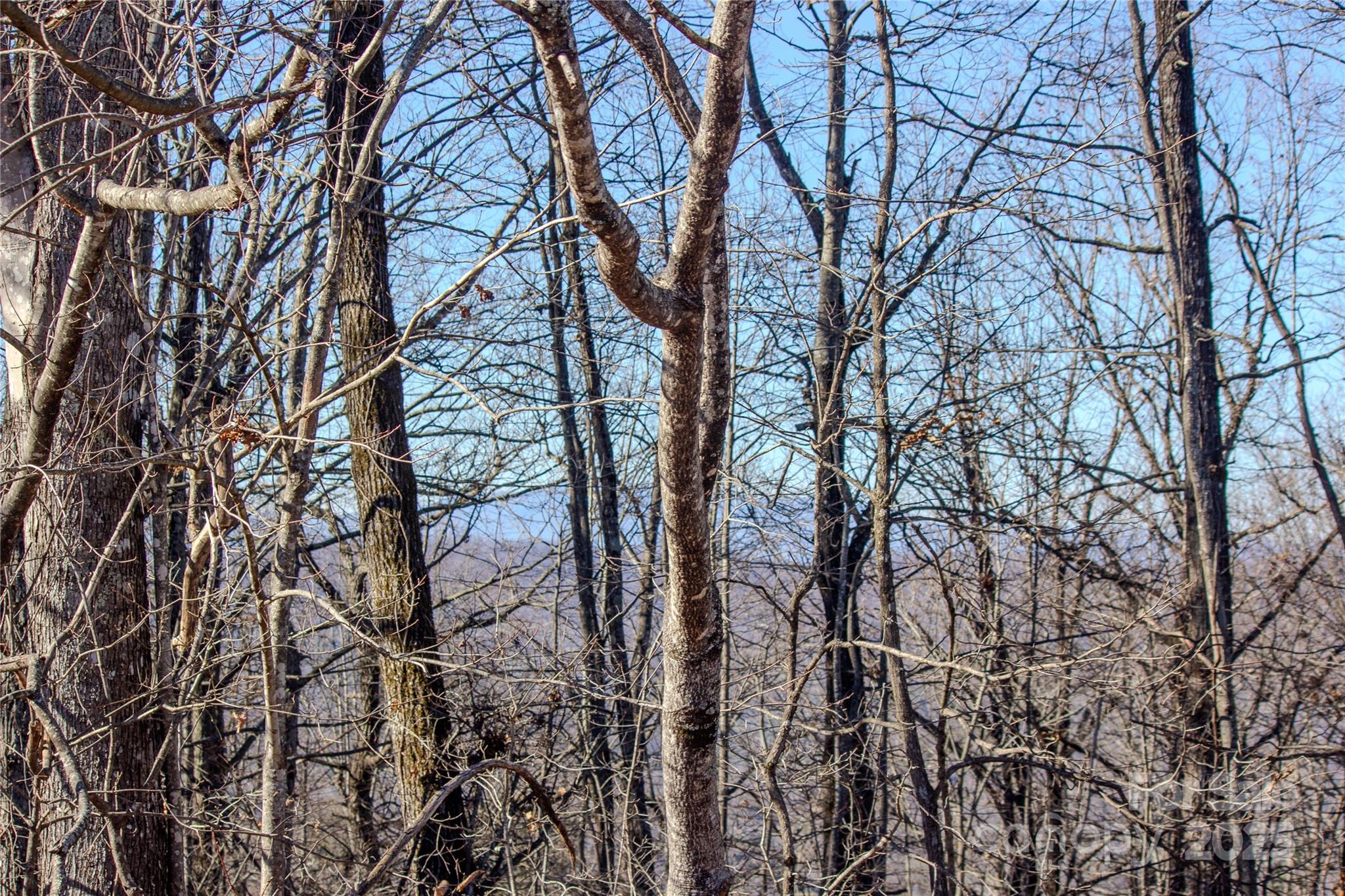 2206 Nighthawk Ridge Court, Unit 27 Lenoir, NC 28645 - Photo 3 of 7