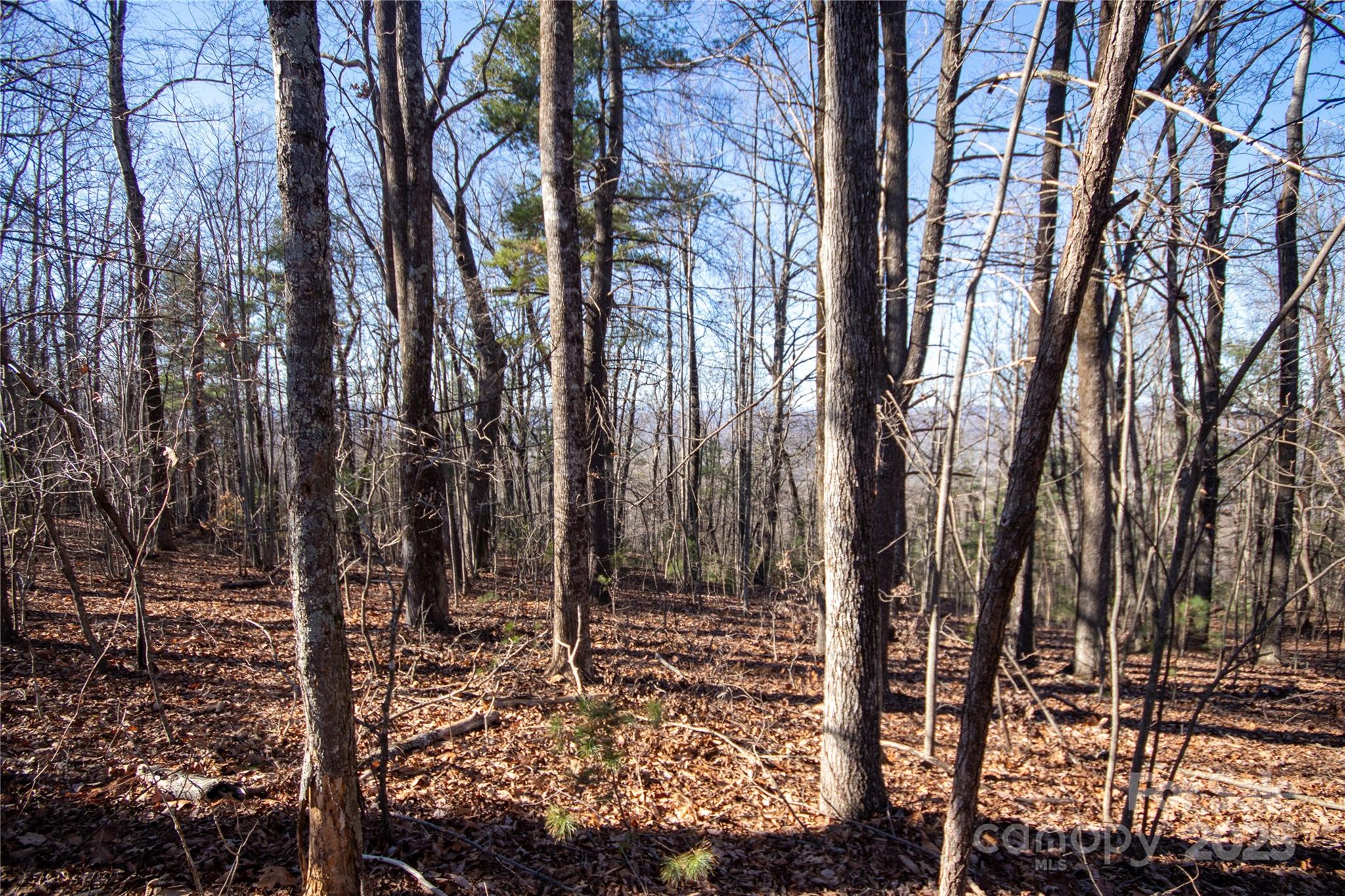 2206 Nighthawk Ridge Court, Unit 27 Lenoir, NC 28645 - Photo 4 of 7 a view of a outdoor space